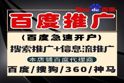 谷歌竞价广告如何提高广告点击率——某公司案例